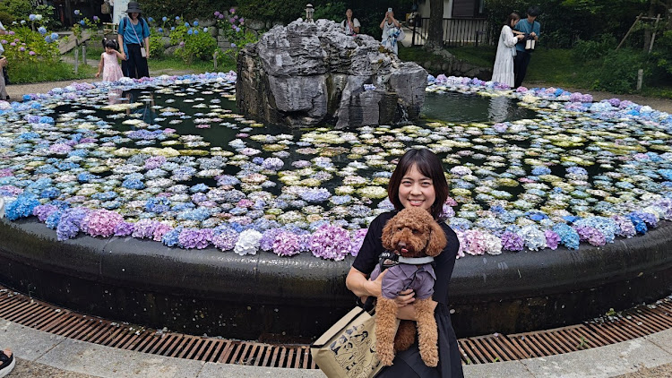 アルファードの紫陽花と愛犬&嫁に関するカスタム事例の投稿画像13枚目