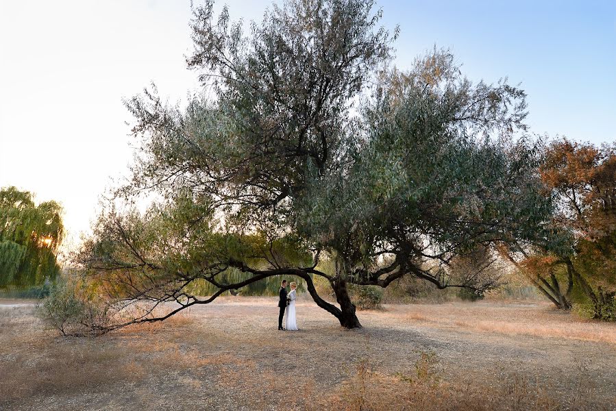 Fotógrafo de casamento Olga Melikhova (olgamelikhova). Foto de 2 de março 2016