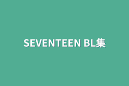 SEVENTEEN BL集