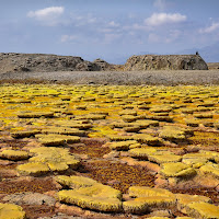 Diversi colori della terra di 