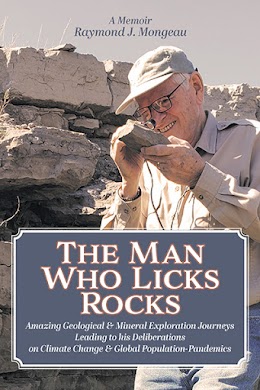 The Man Who Licks Rocks cover