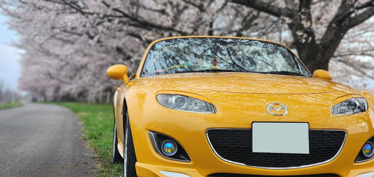 ロードスターのNC2ロードスター(≧▽≦)／・サンフラワーイエローです。(*´▽｀*)・朝カメ活です。(*´▽｀*)・(　-∀・)📷✨✨🌸🚘️🌸✨に関するカスタム事例の投稿画像11枚目