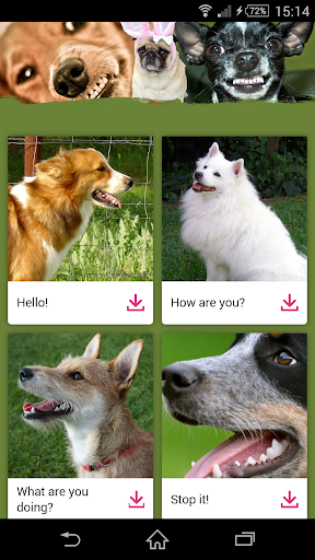 Dog Communicator