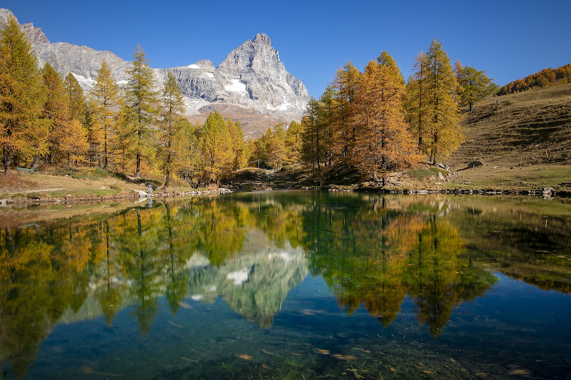 Riflessi autunnali di christine_pacini