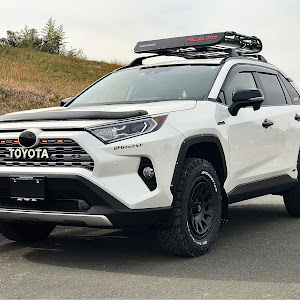 RAV4 AXAH54