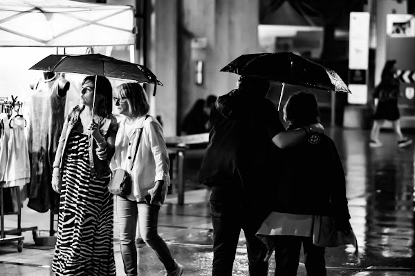 verso l'autunno in bianco e nero di fabrizio_fontana