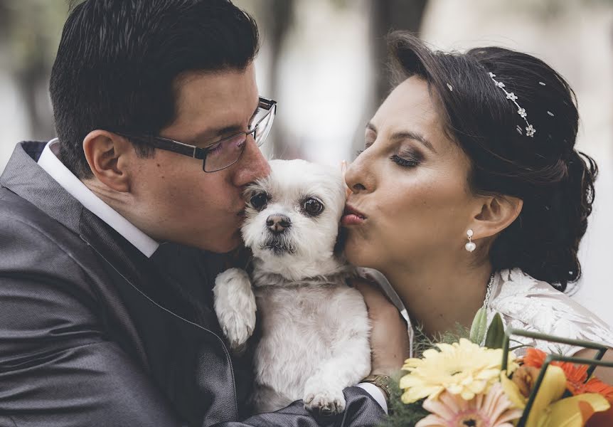 Fotógrafo de bodas Ivan Bueno (ivanbueno). Foto del 15 de enero 2018