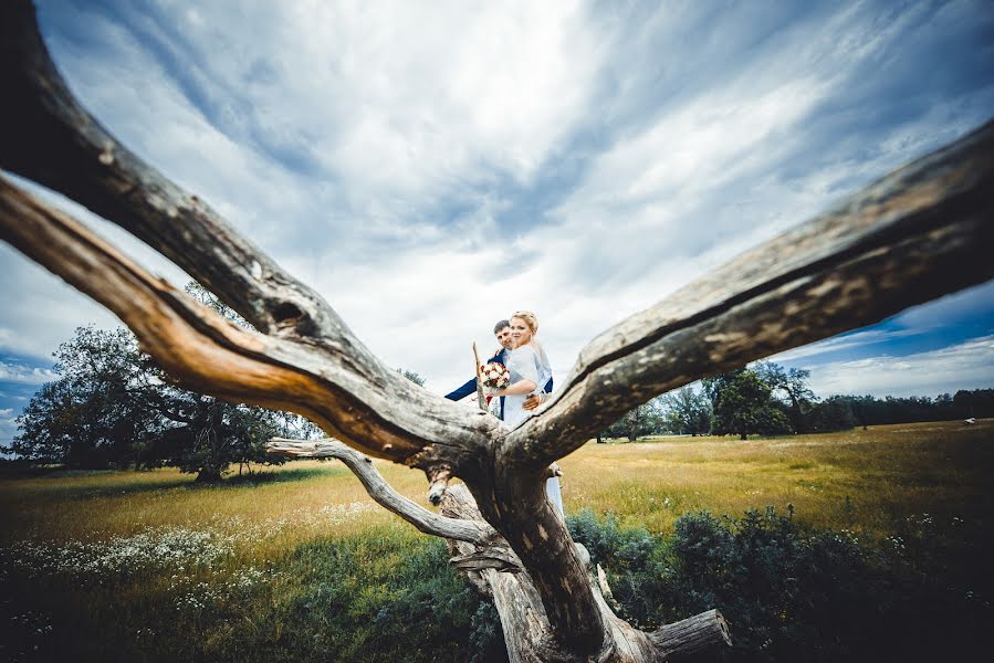 Photographe de mariage Ramis Nazmiev (ramisnazmiev). Photo du 29 juin 2015