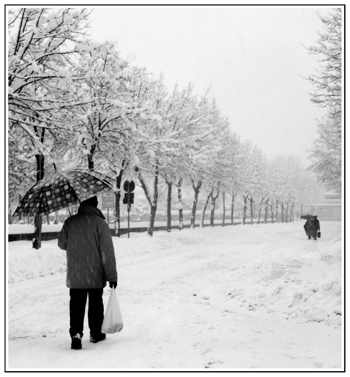 Passeggiata Nevosa di Pierluigi Terzoli