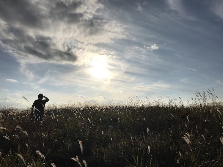 ノートのビーナスライン・ドライブに関するカスタム事例の投稿画像6枚目