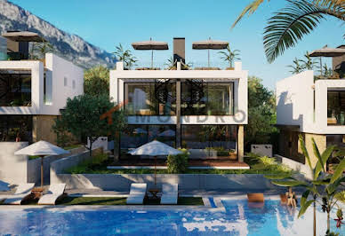 House with pool and terrace 2