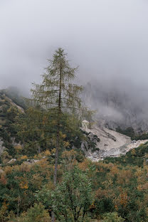 Fotograful de nuntă Alyona Boiko (alyonaboiko). Fotografia din 8 ianuarie 2019