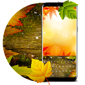 Autumn Wood - Keyboard Theme icon