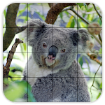 Tile Puzzles · Australia Apk