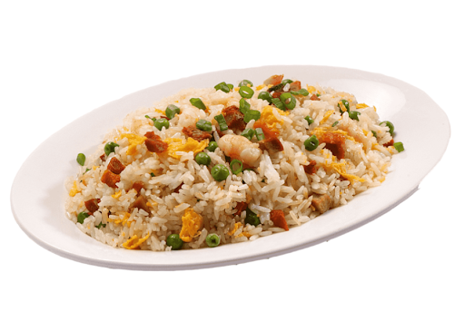 Ayaansh Special Chicken Mixed Fried Rice