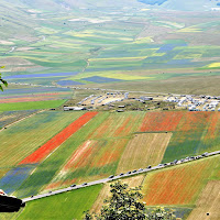 colori della natura  di 