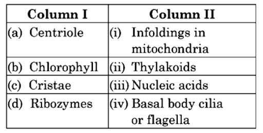 Cell Organelles