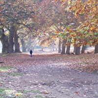 Villa Borghese - Roma di 