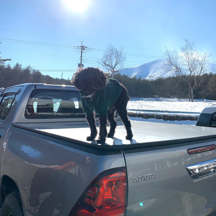 ハイラックスのハイラックスGUN125・軽井沢・浅間山・犬連れに関するカスタム事例の投稿画像3枚目