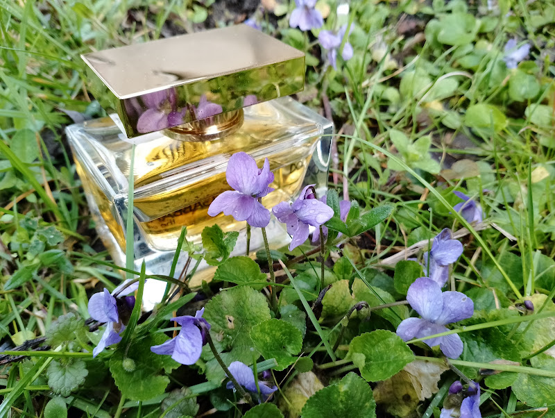 Profumo di violette di Zarete