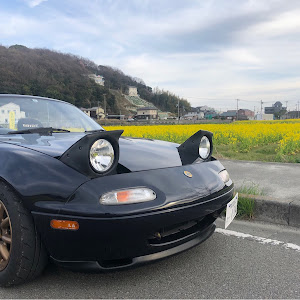 ロードスター NA8C