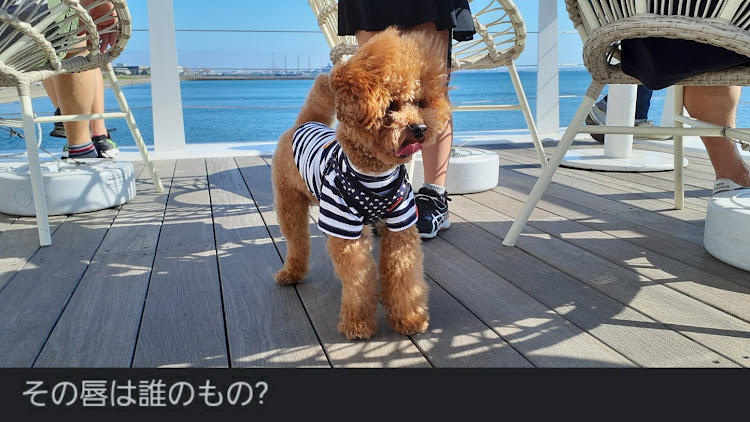 （代表）ムハンマド・マゼランさんが投稿したネタ投稿・いなげの浜・稲毛の浜・なんかスミマセン・いいねありがとうございますに関するカスタム事例の投稿画像7枚目