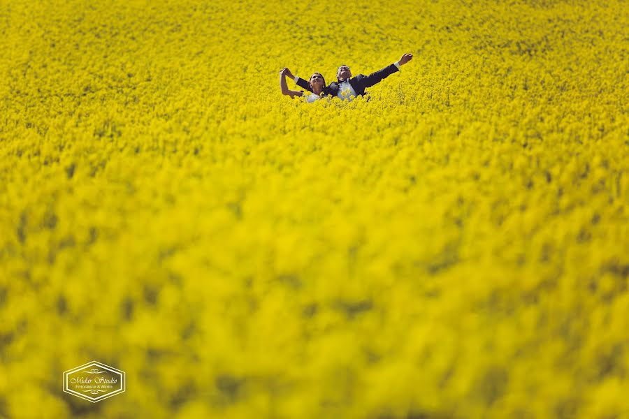 Fotograful de nuntă Michał Michna (midarstudio). Fotografia din 16 iulie 2019