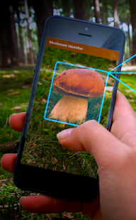 Mushroom Identifier - detection and classification 1.6 APK + Mod (Unlimited money) untuk android