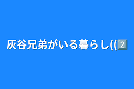 灰谷兄弟がいる暮らし((2⃣