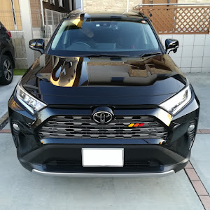 RAV4 MXAA54