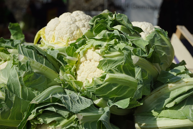 Cabbage and cauliflower