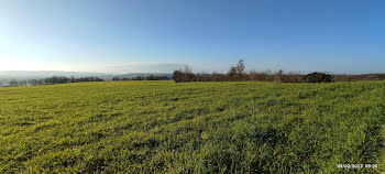 terrain à Cuq-Toulza (81)