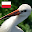 Polish Birds Free Download on Windows