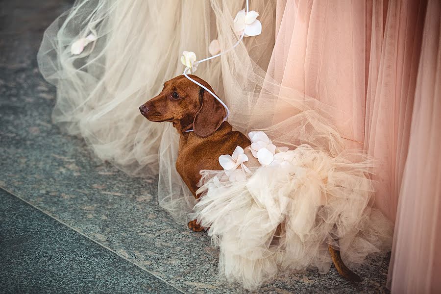 Pulmafotograaf Daniela Tanzi (tanzi). Foto tehtud 10 september 2018