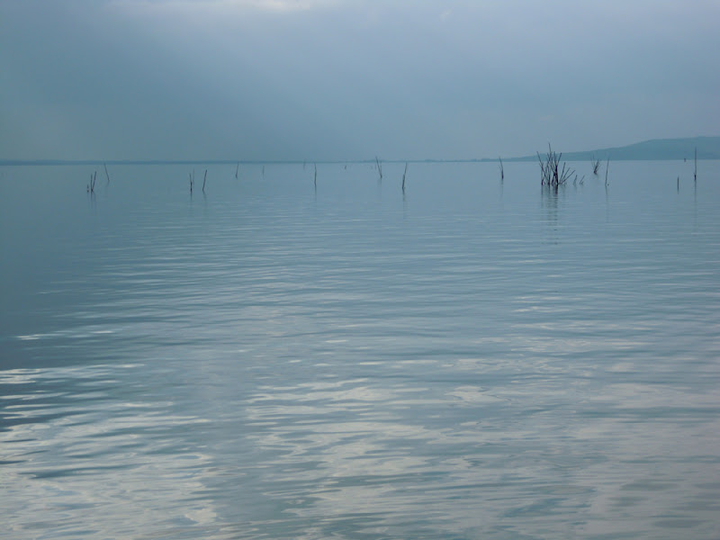 i segni dei pescatori di MWALTER