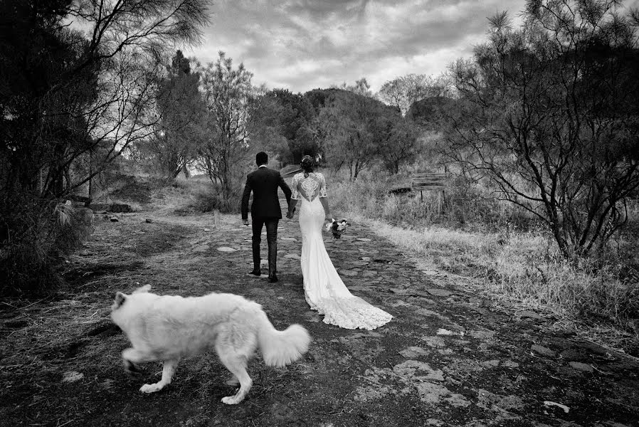 Wedding photographer Giorgio Di Fini (difini). Photo of 2 September 2019