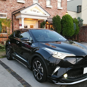C-HR ZYX10