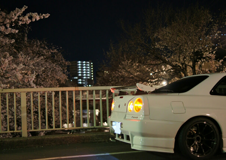 スカイラインの桜コラボ・満開・深夜撮影・夜桜・一眼初心者に関するカスタム事例の投稿画像2枚目