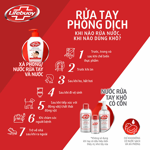 Nước rửa tay Lifebuoy Bảo vệ Vượt trội 450g