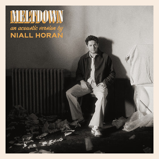 Meltdown (Niall Horan song) - Wikipedia