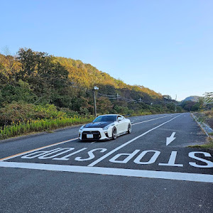 NISSAN GT-R R35