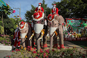 Due to the recent spike in Covid-19 spreading in Thailand, the elephants distributed masks to students and passersby instead of traditional gifts. 