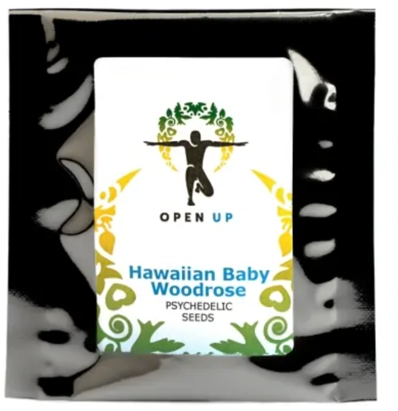 Hawaiian Baby Woodrose by Open Up