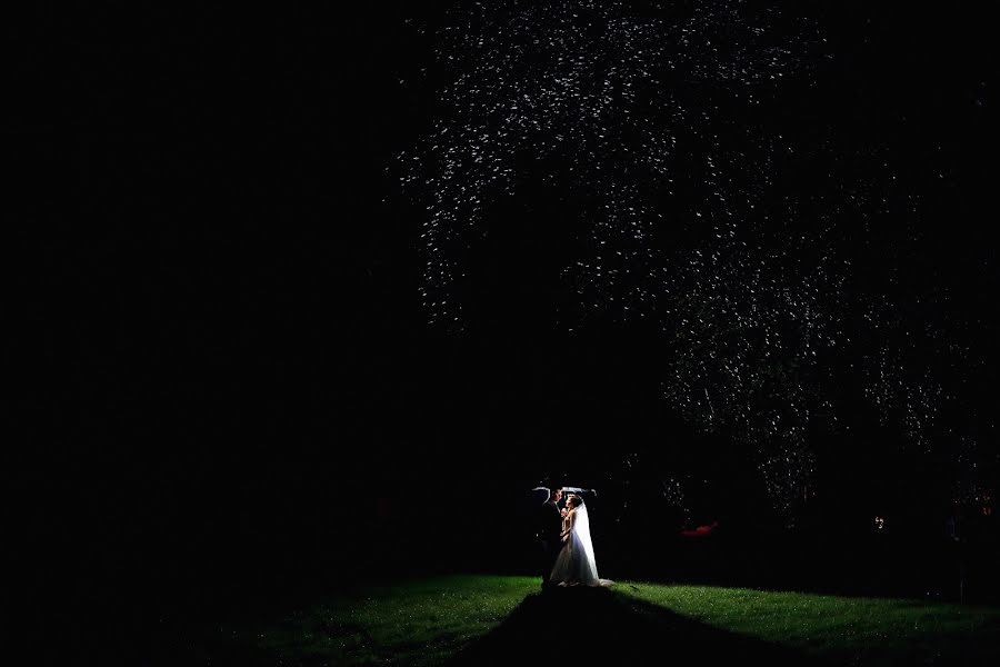 Fotógrafo de casamento Aleksey Bibikov (bibikov). Foto de 30 de junho 2015