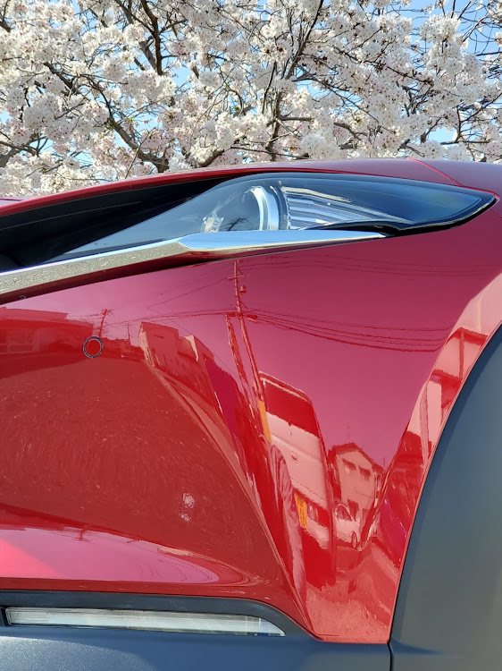 CX-30の桜と愛車・桜・コロナウイルスに負けるなに関するカスタム事例の投稿画像1枚目