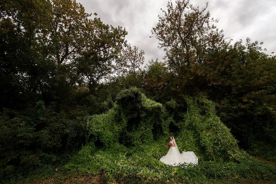 Fotografo di matrimoni Evgeniya Rossinskaya (evgeniyaross). Foto del 2 ottobre 2016