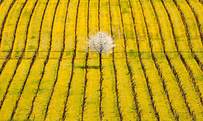 Al centro del giallo di emmeerre