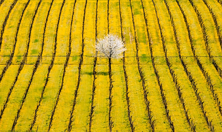 Al centro del giallo di emmeerre