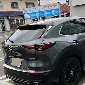 CX-30 DMEP