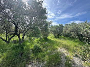 terrain à Pignan (34)